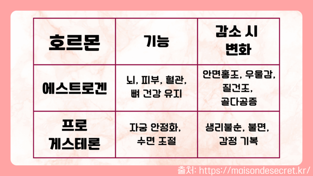 여성 호르몬과 기능 및 감소시 발생하는 신체적 변화